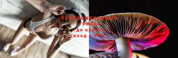 дмт Гусь-Хрустальный