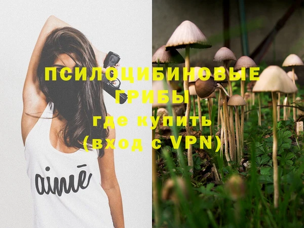 каннабис Гусев