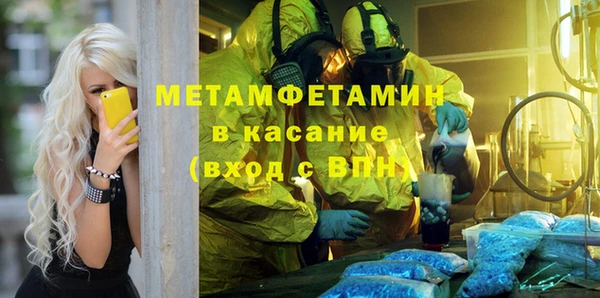 индика Горнозаводск
