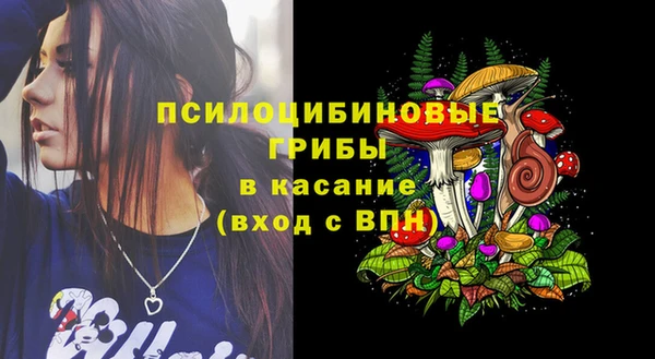 метадон Гусиноозёрск