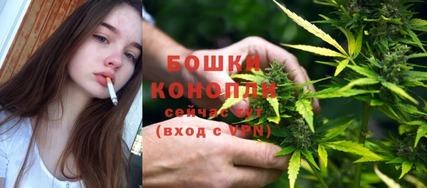 дмт Гусь-Хрустальный