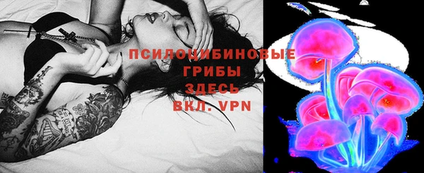 mdpv Дмитров